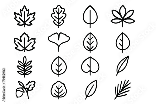Leaves silhouette icon set. featuring maple, oak, gingko, chestnut, and elm symbols