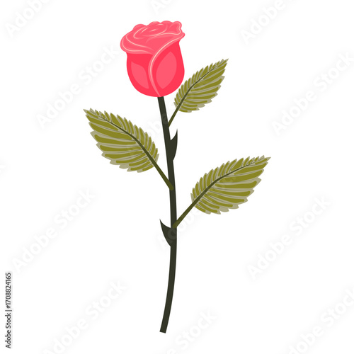 Bright pink rose. Graceful flower on a slightly inclined stem. Vector illustration isolated on a white background.