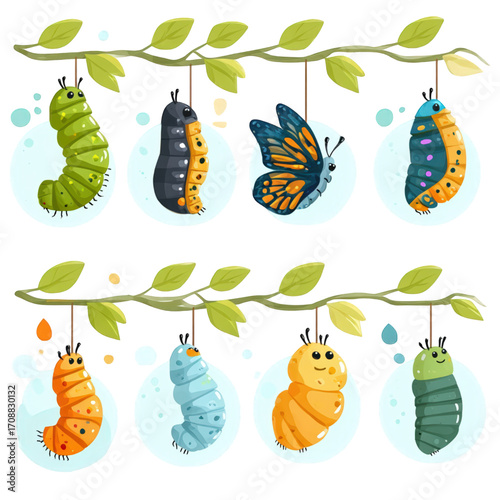 Colorful Illustrated Set of Butterfly Metamorphosis Stages.