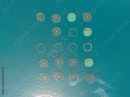 Top-down aerial view of fish farming cages in the Black Sea near Arsin, Trabzon, Turkey. Organized circular aquaculture nets floating on the calm blue sea, used for sustainable seafood production.