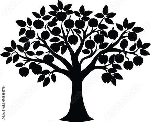 Apricot Tree Silhouette Illustration | Apricot Tree Outline