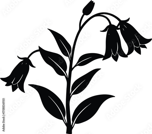 Bellflower Stalk Silhouette Illustration | Bellflower Outline