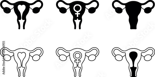 Female reproductive system line art simple diagram on white background
