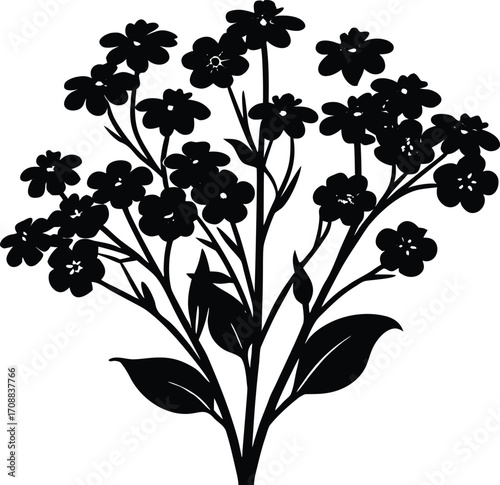 Forget Me Not Cluster Silhouette Illustration | Forget Me Not Flower Outline