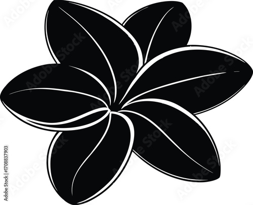 Frangipani Flower Silhouette Illustration | Plumeria Flower Outline