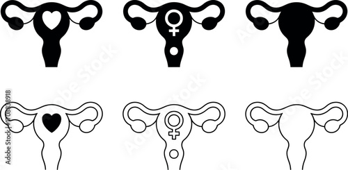 Uterus fallopian tubes and ovaries medical illustration female reproductive system health