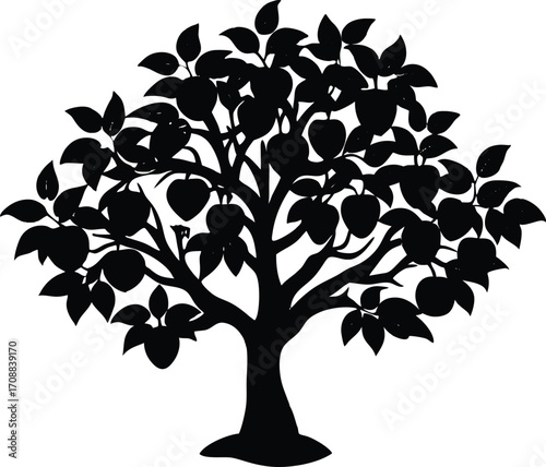 Peach Tree Silhouette Illustration | Peach Fruit Tree Outline