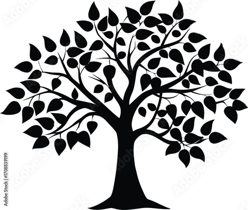 Plum Tree Silhouette Illustration | Plum Fruit Tree Outline
