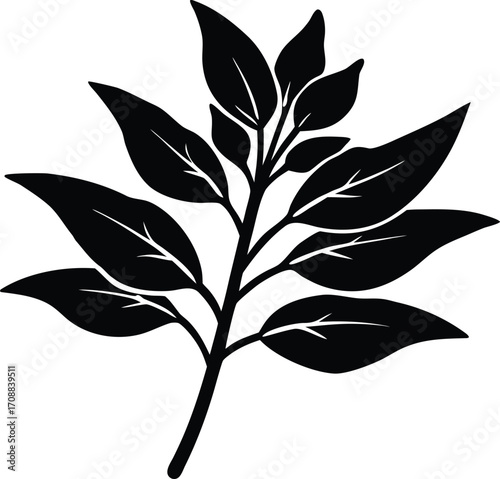 Sage Sprig Silhouette Illustration | Sage Herb Outline