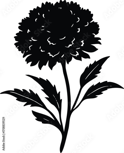 Sea Thrift Flower Silhouette Illustration | Sea Thrift Bloom Outline