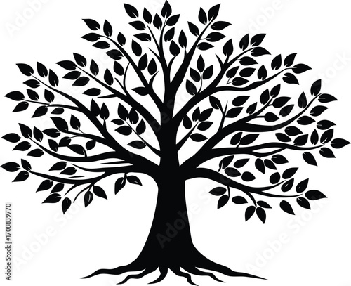 Ti Plant Silhouette Illustration | Ti Leaf Plant Outline