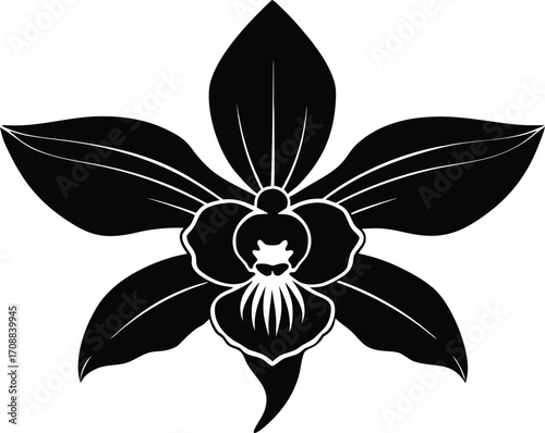Wild Orchid Silhouette Illustration | Wild Orchid Flower Outline
