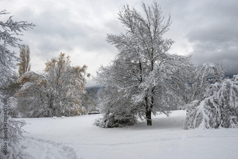Obraz premium Winter Panorama of South Park in city of Sofia, Bulgaria