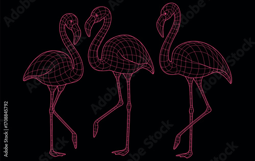 Minimal Polygon Wireframe Illustration of Three Flamingos – Pink Line Mesh Birds on Black Background