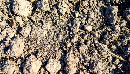 Close-up view of dry, dark soil with small rocks and debris