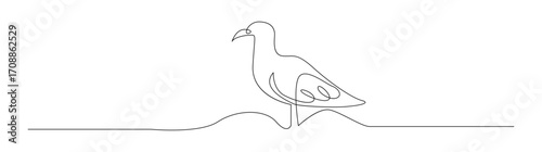 Single Line Drawing of Seagull Standing