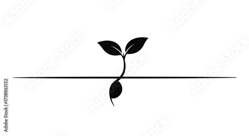 Delicate sprout emerges from a seed, symbolizing growth and new beginnings on a clean background.