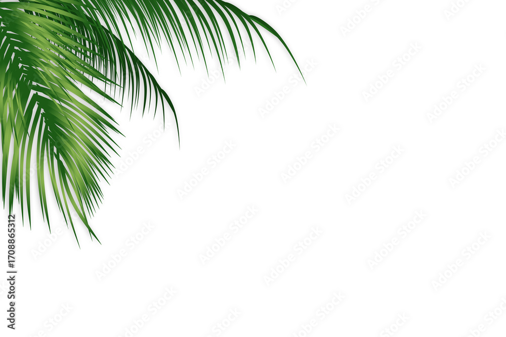 Fototapeta premium Palm leaves background tropical beach vacation paradise
