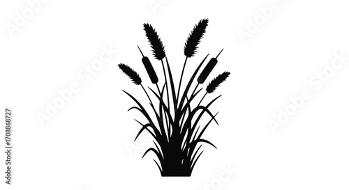 Silhouette of tall grass stalks with feathery tops swaying gently