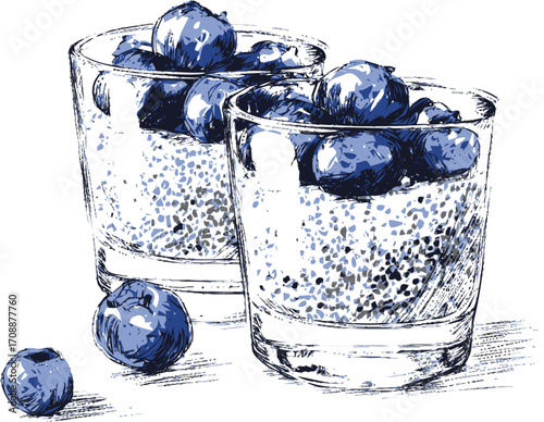 Blueberry pudding sketch hand drawn style with chia seeds in glass cups — stock vector