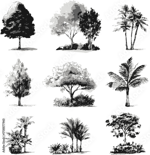 Trees sketch hand drawn set with various species and foliage styles — stock vector