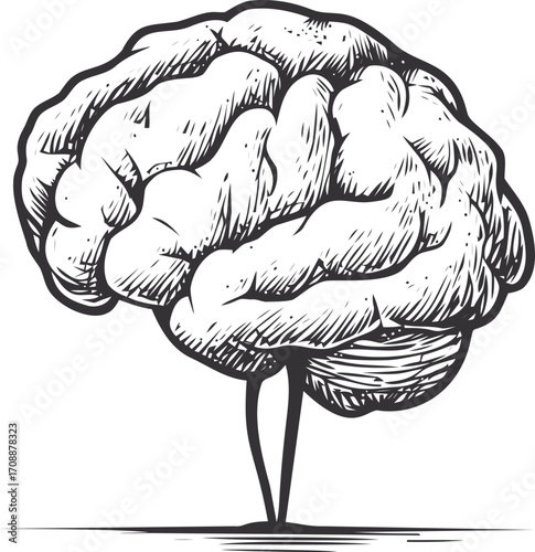 Brain sketch hand drawn illustration with detailed lines and shading — stock vector