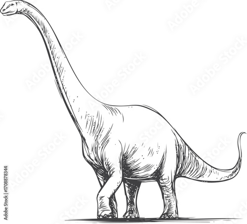 Brachiosaurus sketch hand drawn dinosaur with long neck and tail — stock vector