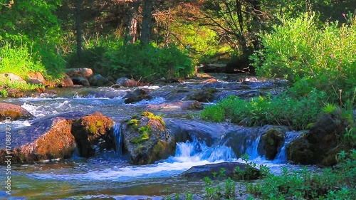 20-second video still of the El Galba River in the Pyrenees in summer.
Water running among rocks and mountain forests in the south of France in the commune of Esposolla.
