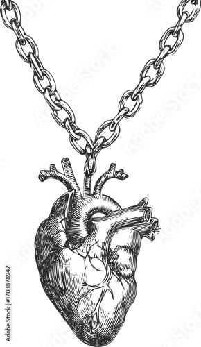 Anatomical heart pendant sketch, hand drawn on chain, detailed line art — stock vector