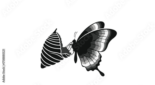 Delicate butterfly emerging from its chrysalis in a moment of transformation and new beginnings.