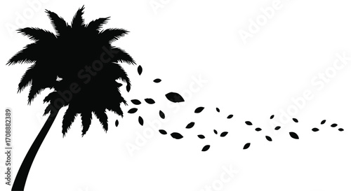 Silhouette of a palm tree with leaves blowing in the wind