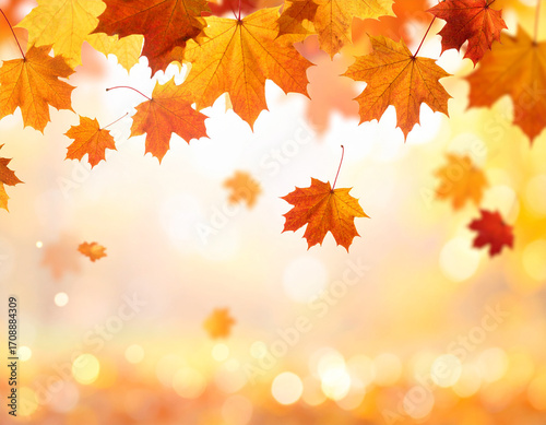 Vibrant Autumn Maple Leaves Falling, Golden Bokeh Background, Seasonal Beauty.