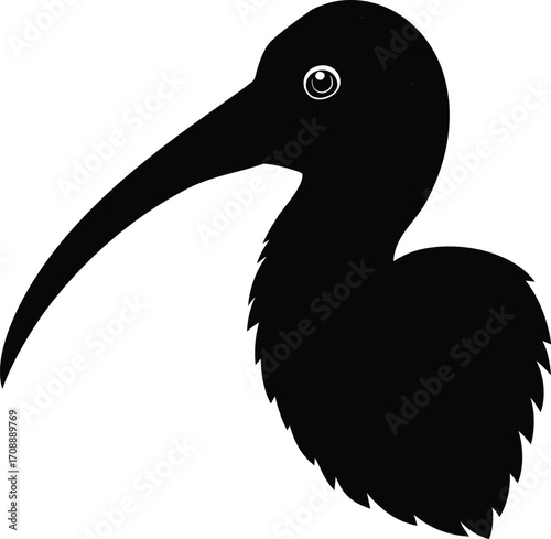 Vector illustration of a wild bird, such as a stork or eagle, with a beak and feathers, isolated on white