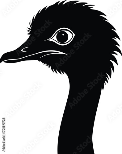 Close-up vector portrait of an ostrich's head with its long neck and funny beak, isolated on a white background
