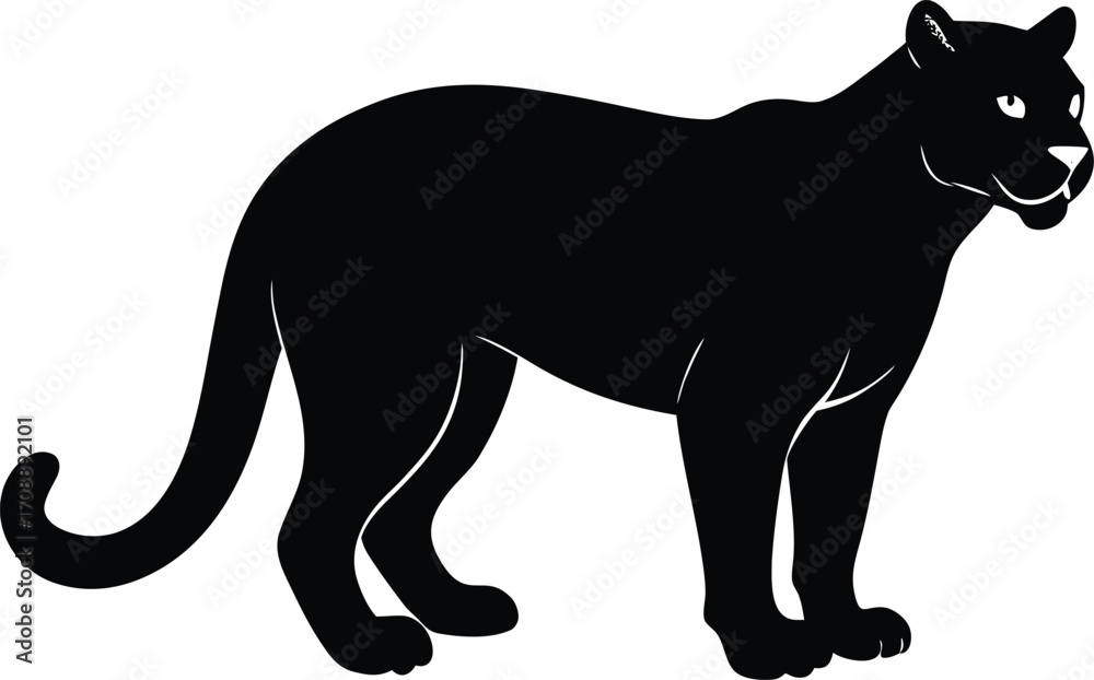Obraz premium A sleek black panther and a wild wolf silhouette vector illustration