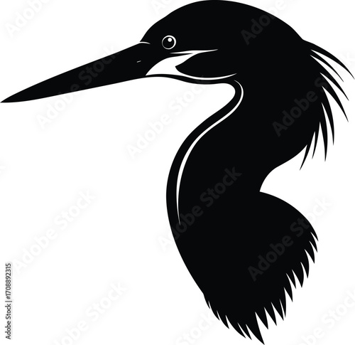 A majestic black crowned night heron with a distinct long beak and blue feathers is a solitary silhouette against a white background