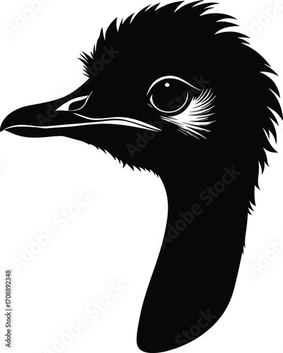 Black and white vector drawing of two swans forming a heart with their wings on the water