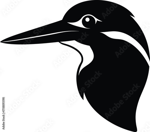 vector illustration of a bird on transparent background