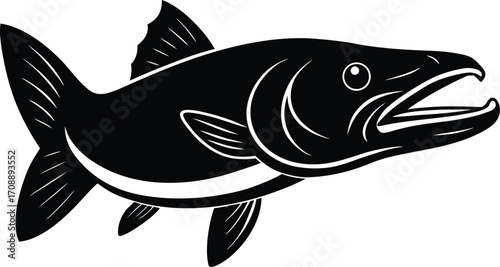 vector illustration of a fish on transparent background