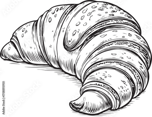 Croissant Pastry Vector Illustration, Sketch Drawing Line Linear Symbol Icon Engraving Coloring Book, Hand-drawn Doodle Black and White Isolated