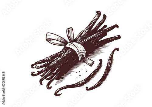 Vanilla Pod hand drawn sketch vector illustration