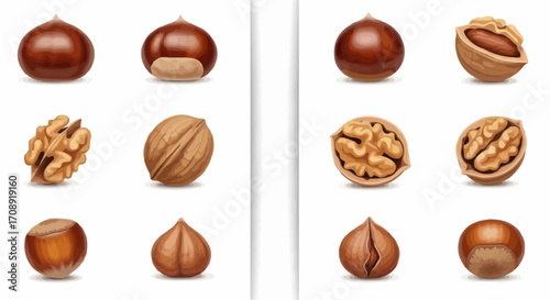 Christmas icon buy organic nuts online: chestnut, walnut, hazelnut variety pack for healthy snacking and baking needs today vector
