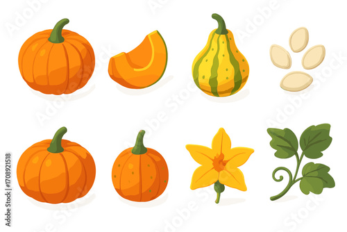 Autumn harvest flat icons set. featuring pumpkin, squash, seeds, leaf, and flower symbols