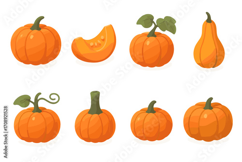 Harvest outline icon set. featuring pumpkin, squash, slice, stem, leaf, vine