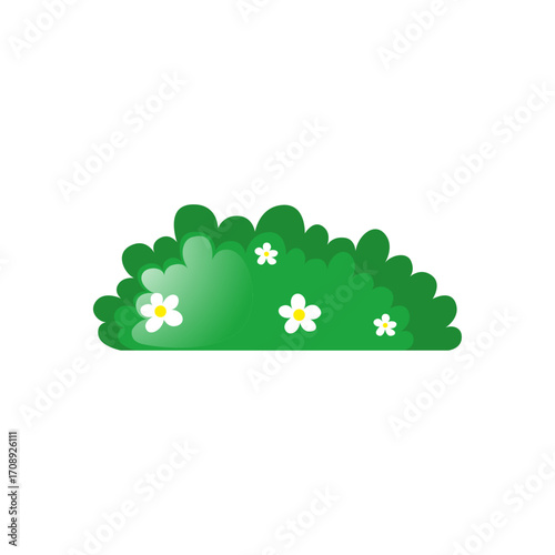 Lush Green Bush with White Flowers, Ideal for Floral Design