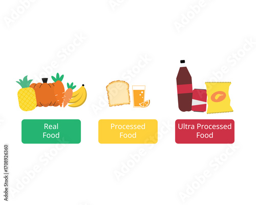 Comparison of Real Food, processed food, ultra processed food