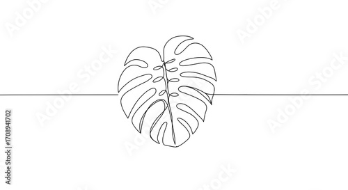 Oneline drawing of a monstera leaf centered on a horizontal line