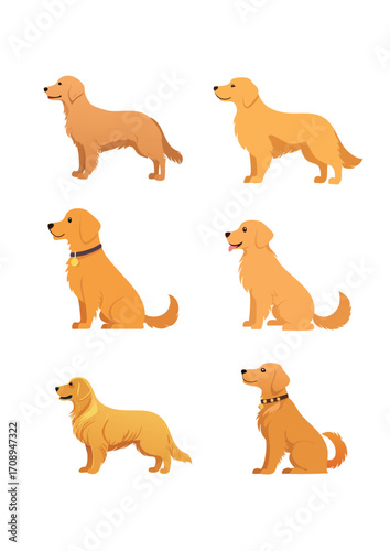 可愛い犬たち