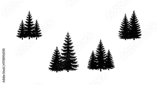 Isolated evergreen trees arranged in groups against a plain white presentation area view image style