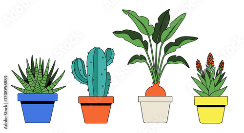 Four potted plants showcasing a variety of botanical species in decorative containers arranged together